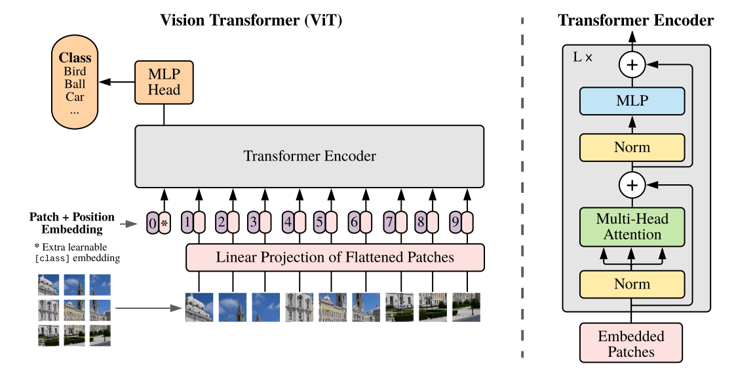 ViT Model Overview