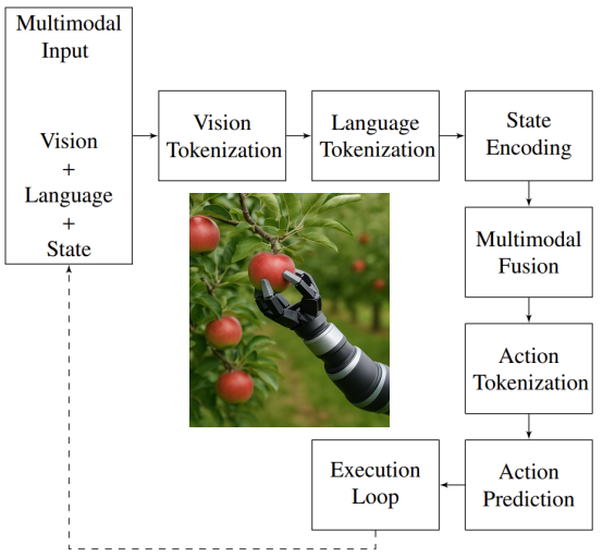 How VLAs encode the world
